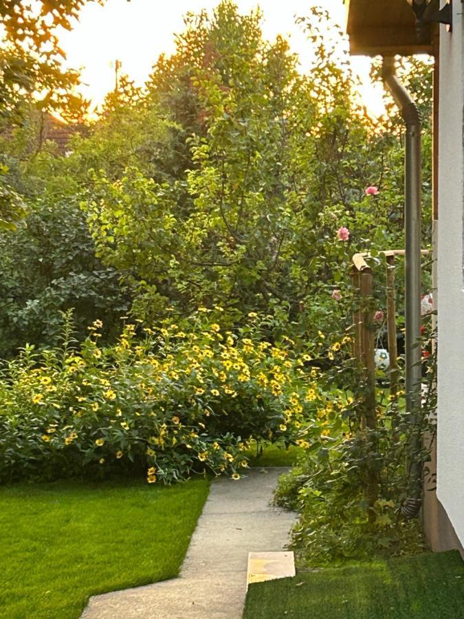 Kisvirag Vendeghaz Villa Balatonvilágos Екстериор снимка